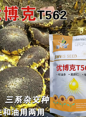 优博克T562向日葵种子榨油多食葵嗑瓜子食香三系杂交种油葵种子籽