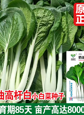 长梗白菜种子奶油白长梗白种籽花叶高梗白高杆箭杆小白菜青菜蔬菜