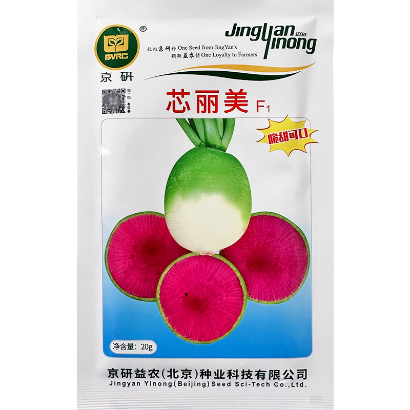 北京满堂红高产水果心里美萝卜图片