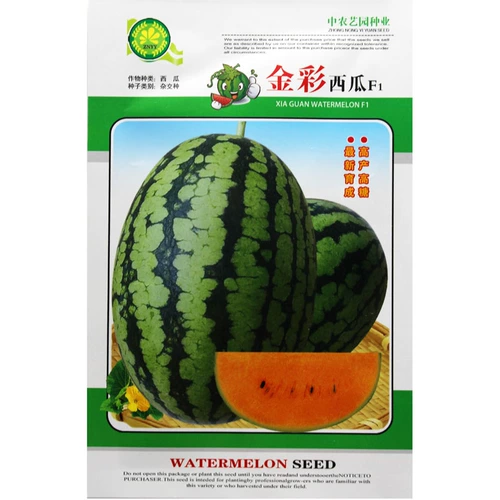Семена арбуз радуги, кремово -желтый, как радуга высокий сахар с высоким сахаром, супер супер сладкий четыре сезона, посеянный весенний сезон, сеять семена арбуза