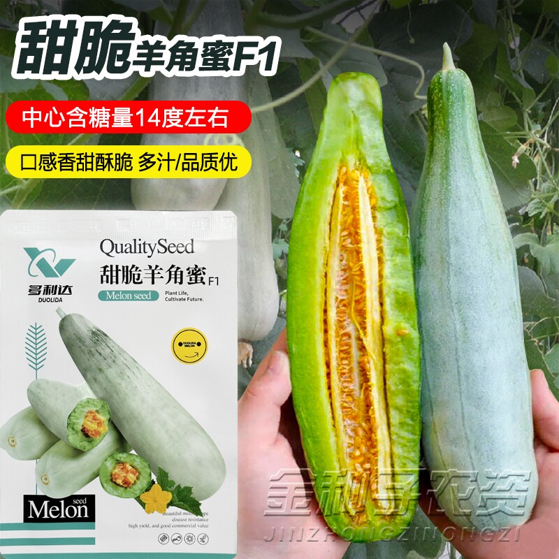 脆甜羊角蜜种子超甜四季阳台大田羊角脆香瓜甜瓜种籽冰糖子水果籽