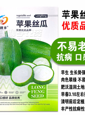 台湾苹果丝瓜种子菜瓜种籽苗秧盆栽籽种四季子蔬菜菜籽孑菜种水瓜