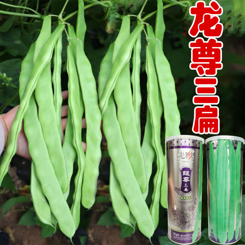 扁豆种孑高产芸豆种籽大全刀豆种子四季豆孑扁豆角种绿龙3号豇豆