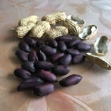 Черные семена арахиса 夏 Весна и лето сеяют фиолетовые черные семена арахиса Черные семена арахиса оригинального арахиса