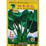 Хрустящая горчичная семена Толстая полоса Большая бамбука стреляет сладкие карку, гуандонг SI Seasons Rapeed Big капуста, семена осенних овощей.