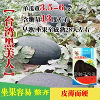 [Тайваньская черная красавица] Оригинал около 50 капсул