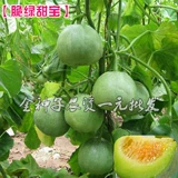 Семена дыня супер сладкие семена дыни с высоким сахарной банкой сахар