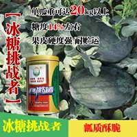 [Rock Sugar Challenger] 50 граммов консервирования