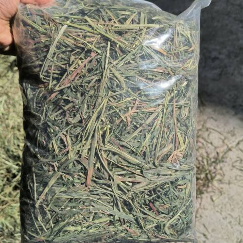 2025年晒干兔子龙猫荷兰猪豚鼠的饲料牧草主推草二茬叶子多有枯叶