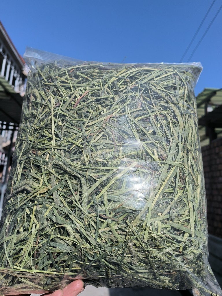 晒干提摩西草兔草牧草干草提草荷兰猪龙猫粮草5斤包邮 免费切草段