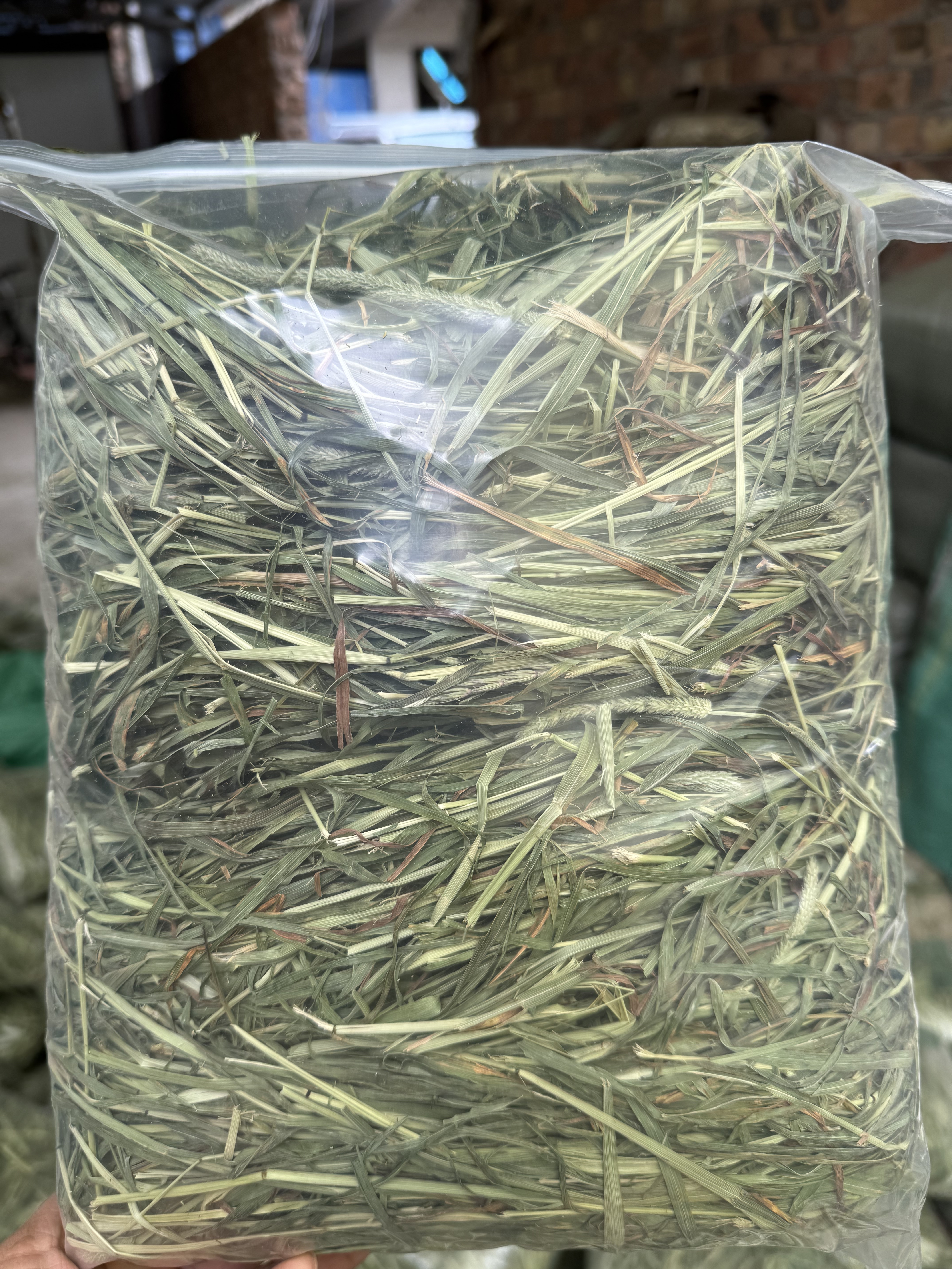 2026晒干提莫西草兔子龙猫荷兰猪干草提摩西磨牙兔粮叶子多带枯叶图片