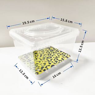 乌龟整理箱糖果盒带苗饲养盒发色板沉淀板隔离板蛋水龟水族亚克力