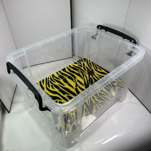 乌龟整理箱饲养盒奶茶桶发色板沉淀板隔离板蛋水龟水族亚克力定制