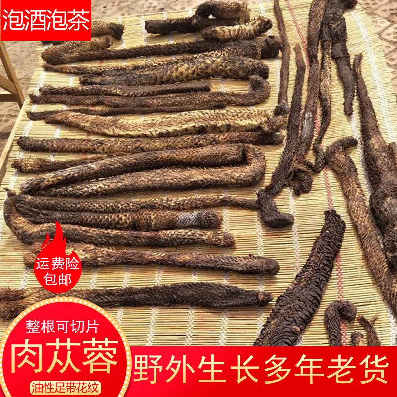 新疆特级肉苁蓉整根中药材沙漠大芸切片泡酒料泡茶荒漠油苁蓉批发