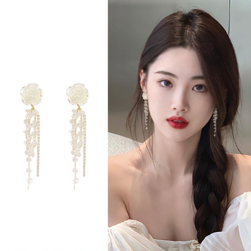 s925银针长款流苏小众设计耳钉女耳坠耳环轻奢气质高级感合金耳饰