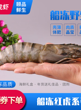 大号虎虾船冻黑虎虾生鲜斑节对虾