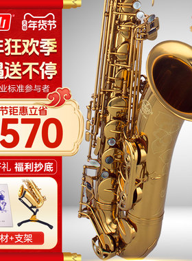 泰山次中音萨克斯管乐器TSTS-9902初学者考级成人专业演奏级降b调