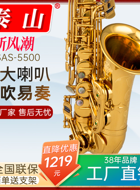 泰山降e调中音萨克斯风管乐器TSAS-5500儿童初学者成人专业级演奏