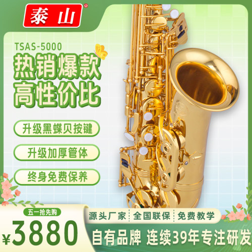 萨克斯乐器降e调管乐中音萨克斯