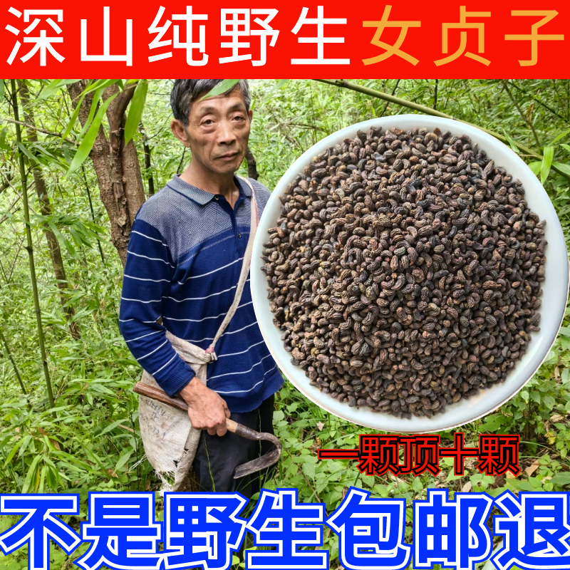 陕南富硒深山纯野生女贞子中药材500g特级正品包邮可搭旱莲草泡水