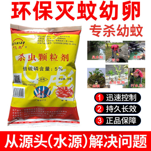 灭蚊幼虫卵孑孓下水道臭水沟粪池
