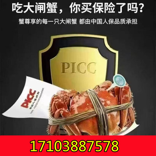 PICC中国人保 承诺 让人放心