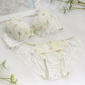 少女士内裤 蕾丝边透气113 日本Risa Magli三角裤 内裤 29秒杀