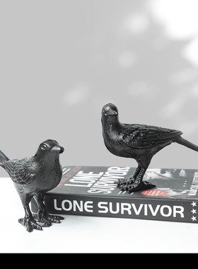 美式复古铸铁小鸟装饰品摆件家居客厅酒柜桌面玄关书房拍摄道具