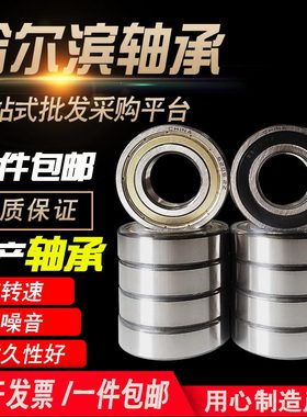 哈尔滨高速轴承6316 6317 6318 6319 6320 6322 6324 6326 2RZ 2Z