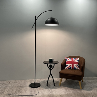 简约北欧个性创意立式落地灯客厅卧室书房全光谱护眼钓鱼落地台灯