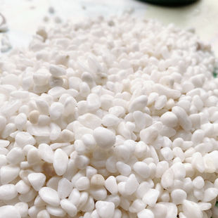 小白石鹅卵石雨花石白色小石子白石子花盆盆栽多肉装饰铺面园艺景