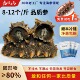 海浪岛开袋即食海参8 9A过年货送长辈礼品盒特产 12头孕婴级家庭装