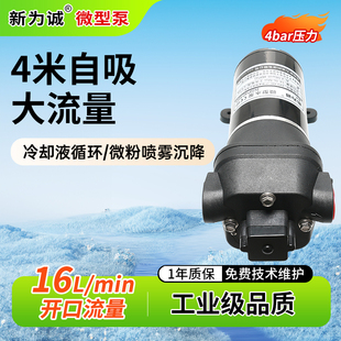 12V微型水泵24V电动隔膜泵新为诚BSP40160水循环微型泵小型抽水泵