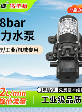 新为诚12V微型泵水采样水泵 24伏电机抽水泵自吸泵循环泵ASP3820