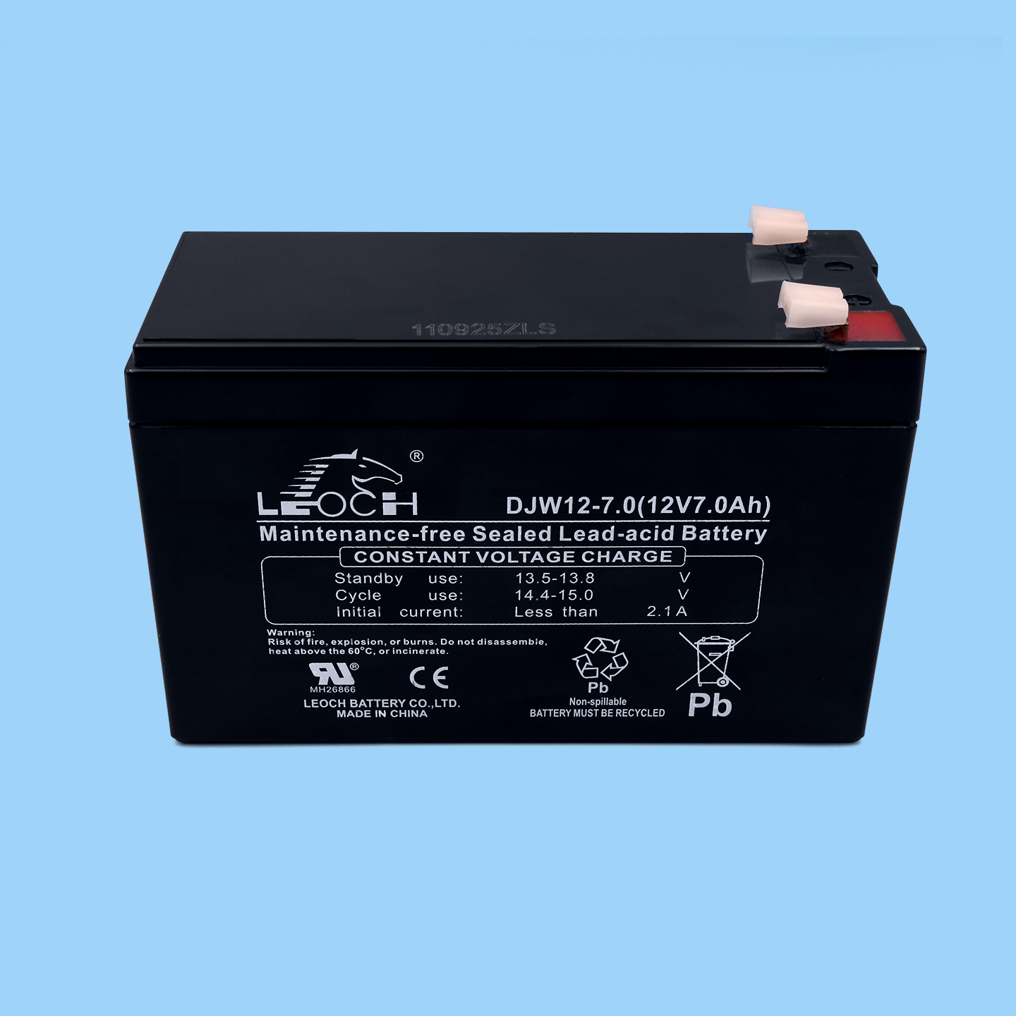 杭西奥电梯救援装置蓄电池