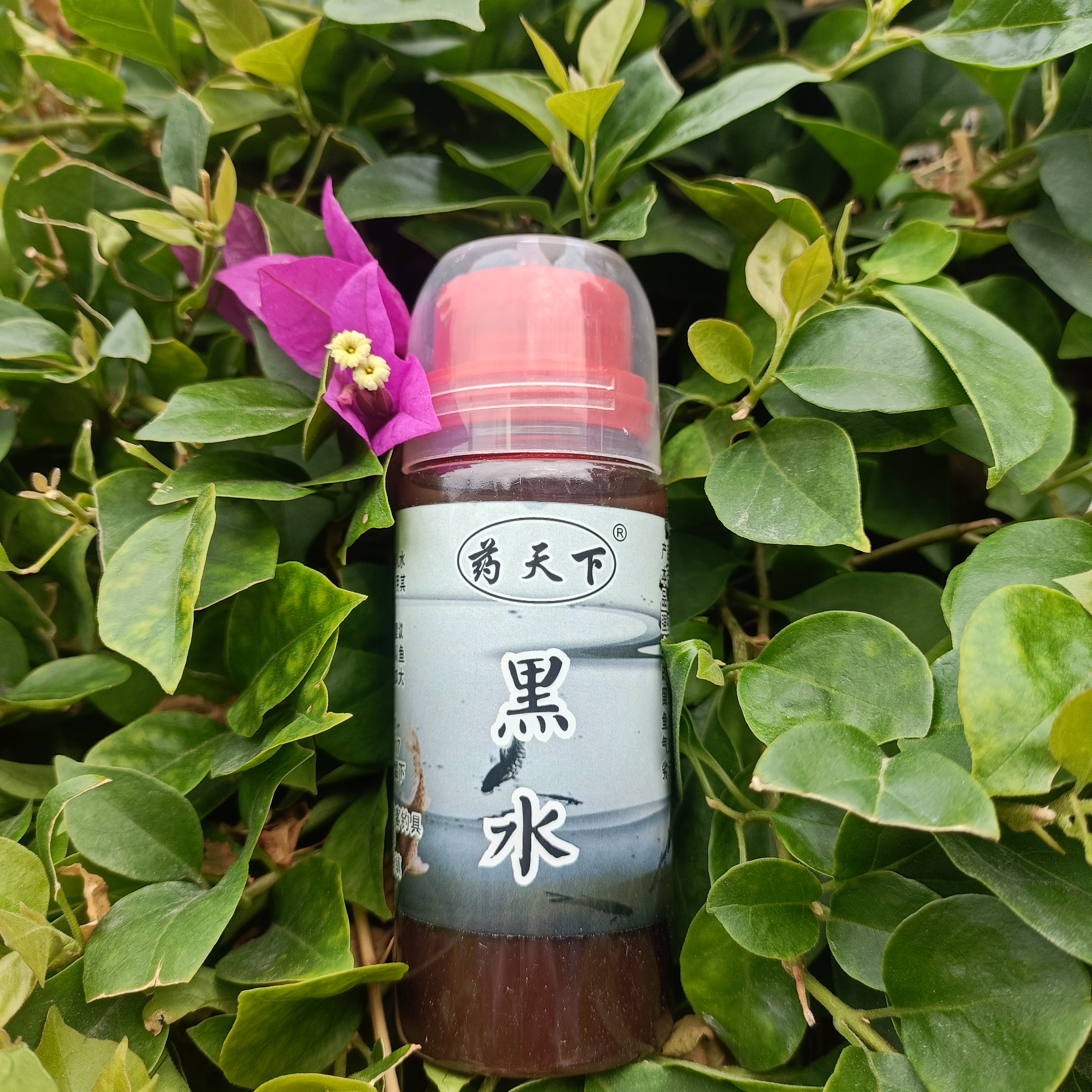 天下黑坑福寿炮小药热卖药罗非