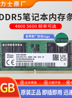 SKhy 海力士 48G 32G 24G 16G 12G 8G DDR5 4800 5600 笔记本内存