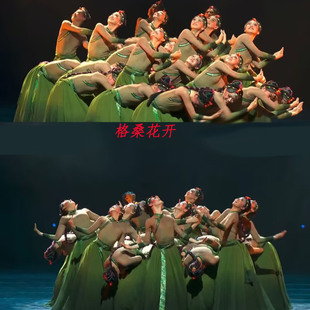 少数民族舞蹈服格桑花开了剧目表演服藏族群舞服大摆裙艺考女飘逸