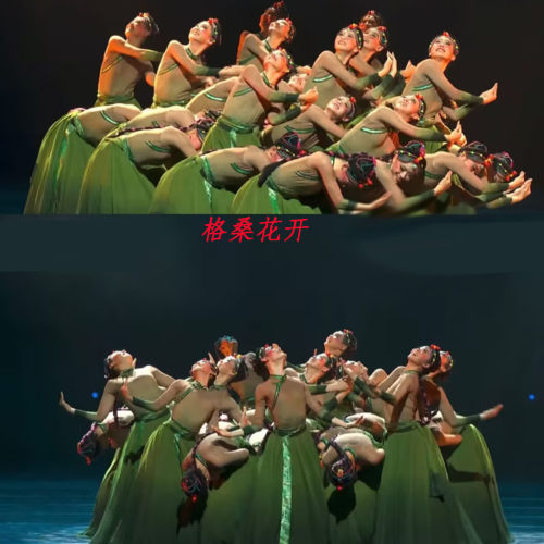 格桑花开了剧目舞蹈服大摆裙表演