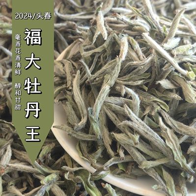 2024雪后牡丹王 特级牡丹王 明前头采茶政和铁山福大抛荒老树