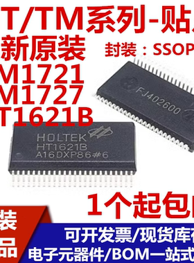 HT1621 HT1621B TM1621B TM1721 TM1727 贴片 SSOP-48 驱动芯片