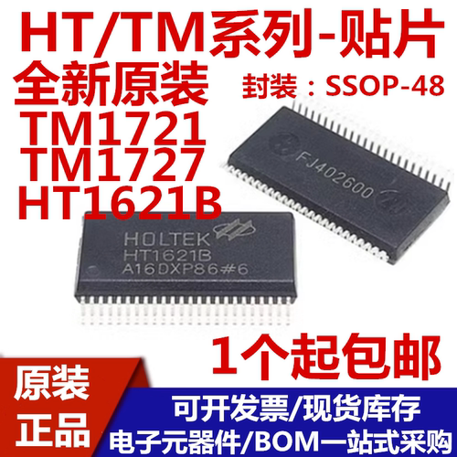 HT1621BTM1721SSOP-48驱动芯片