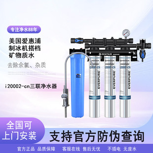 EVERPURE 爱惠浦直饮系统 Insurice 3-i20002  mc2 叁头制冰机用