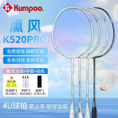 熏风K520pro羽毛球拍超轻全碳素纤维入门铁锤小钢炮单拍官方正品