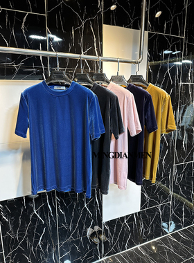 新款高端气质丝绒上衣天鹅圆领短袖T恤女 柔软弹性时尚金丝绒小衫