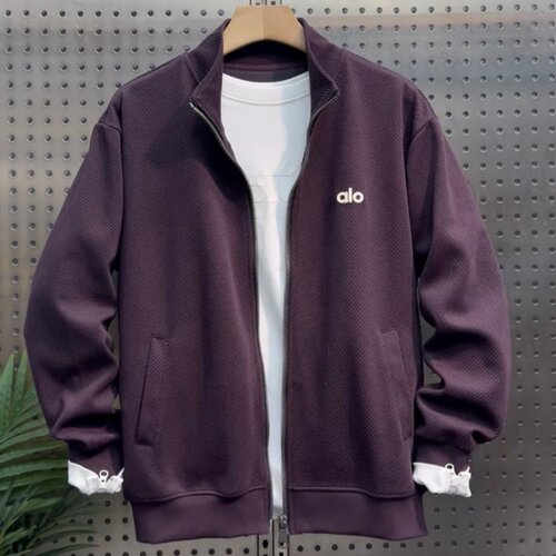 秋季轻奢潮牌刺绣字母立领卫衣男