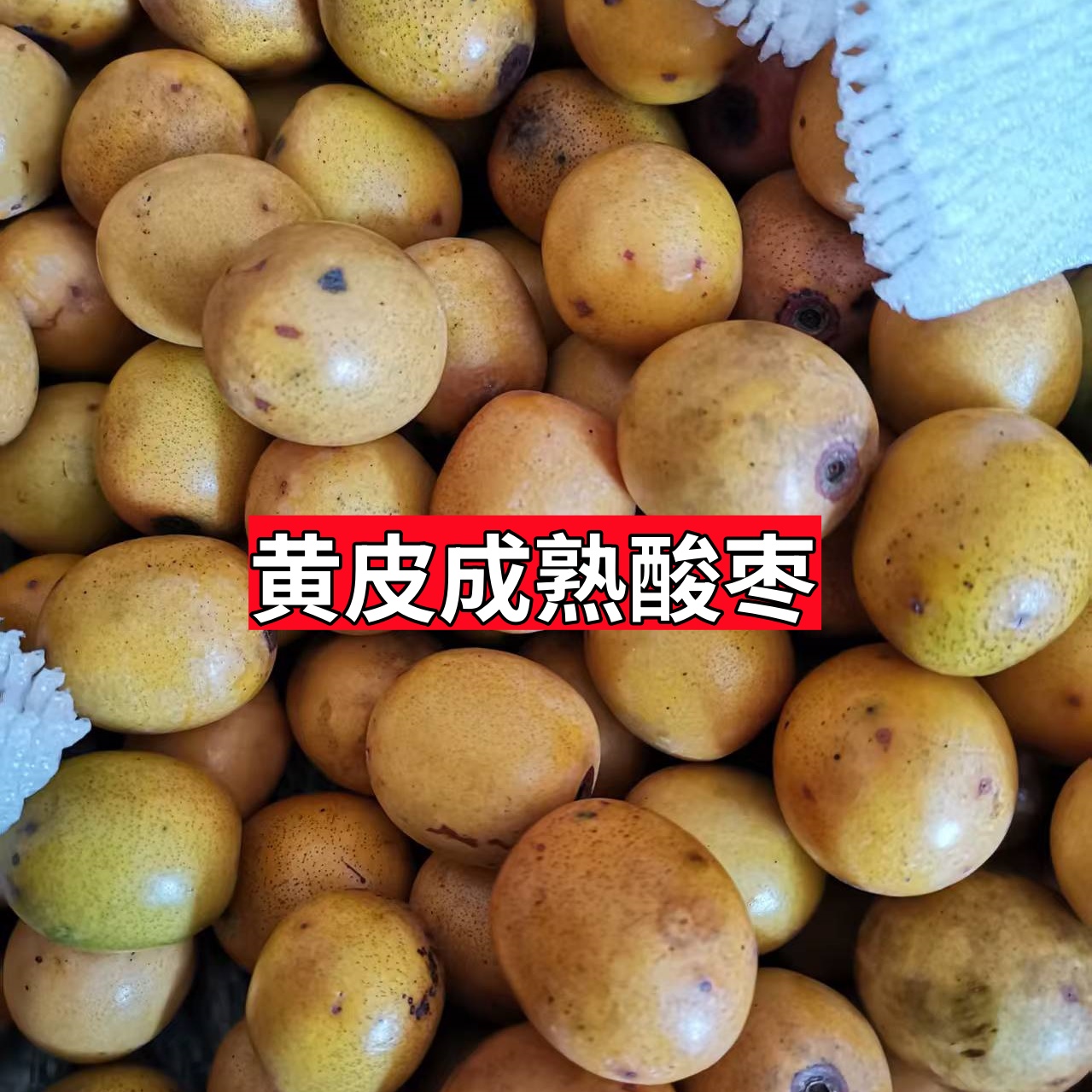 南酸枣鼻涕果五眼果酸枣糕新鲜现摘现发