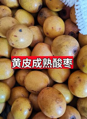 南酸枣鼻涕果五眼果酸枣糕新鲜现摘现发