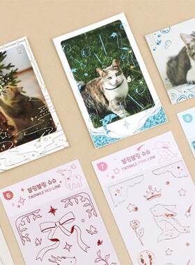 韩国进口Pleple 闪烁彩色线条装饰贴纸 twinkle color line