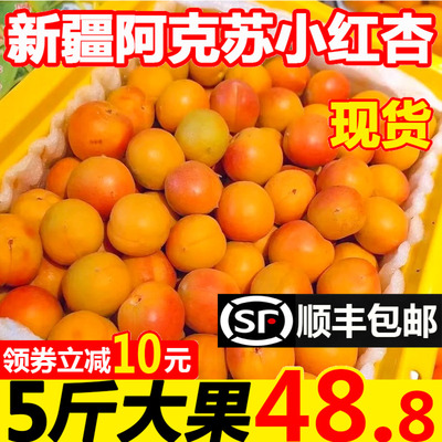 新鲜杏新疆小红杏优惠促销